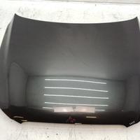 Cofano anteriore audi q5 i 2010 8r0823029 colore 1