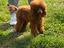 Immagine 6