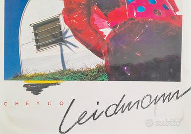 Libro " SILICON " di Cheyco Leidmann