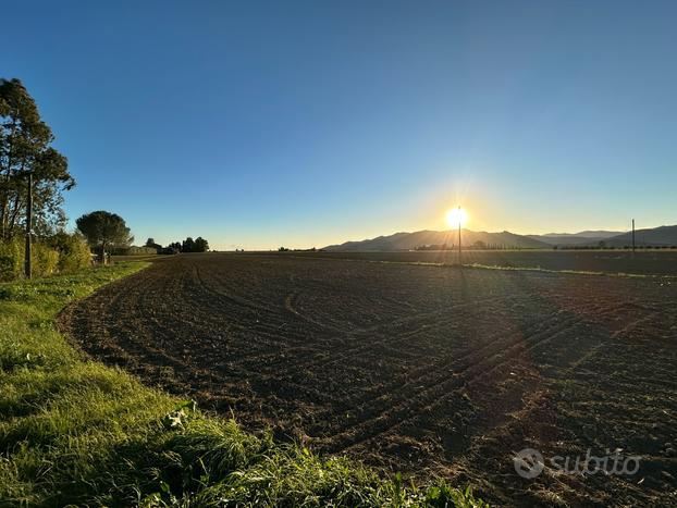 Terreno localita' piatto lavato