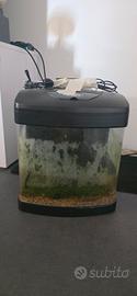 acquario
