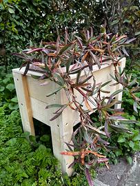 Fioriera portavaso rialzata artigianale