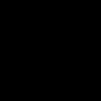 Doma cavalli in provincia di Palermo