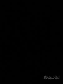 Doma cavalli in provincia di Palermo