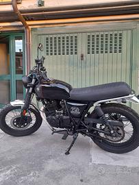 Brixton Cromwell 250 - 2023