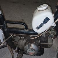motorino benelli 
