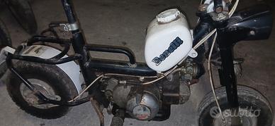 motorino benelli 