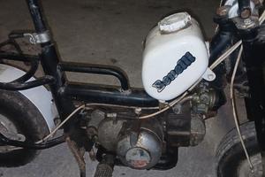 motorino benelli 