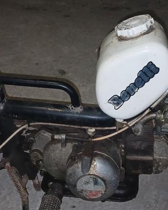 motorino benelli 