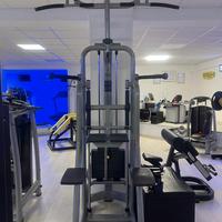Technogym Selection - Easy chin dip