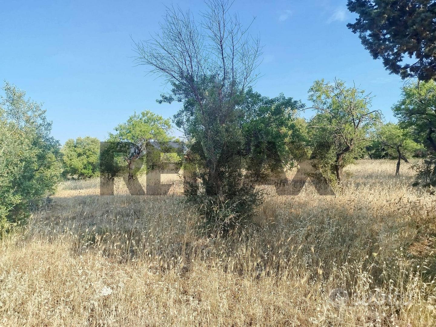 Terreno - Canicattini Bagni - Altro