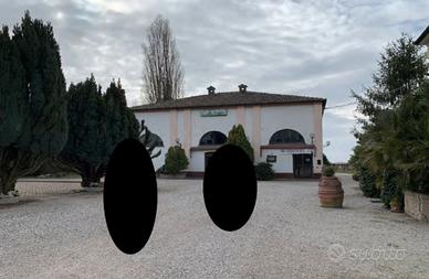 Gestore per ristorante pizzeria