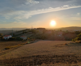 Terreno agricolo
