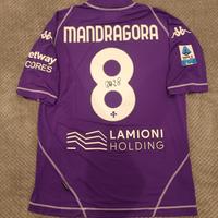 Mandragora fiorentina