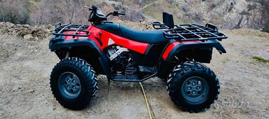 Quad Arctic Cat ACE TRADE 500 cc 4x4-Con pochi km