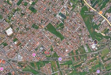 Gestore piccolo vigneto ciampino