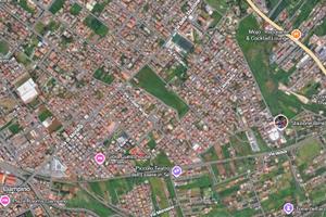 Gestore piccolo vigneto ciampino