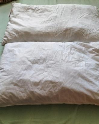 Coppia cuscini IKEA