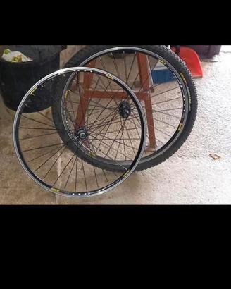 cerchi mtb