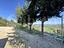 Immagine 18