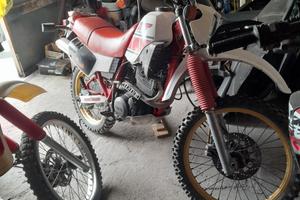 Xt 600 43f prima serie 1984