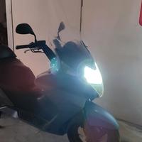 Silver Wing 400