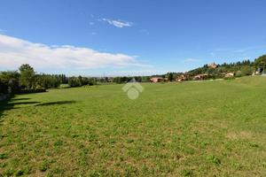 TER. AGRICOLO A PISTOIA