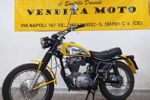 Ducati scrambler 350