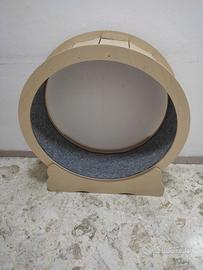 Ruota per gatti