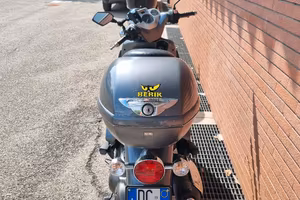 la mia compagna di viaggio 