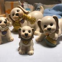 famiglia cani panna Thun