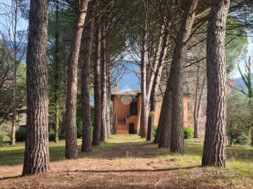 VILLA SINGOLA A MASSA MARTANA