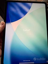 iPad Pro 11 M5 2025 2TB - NANO-TEXTURE Come Nuovo