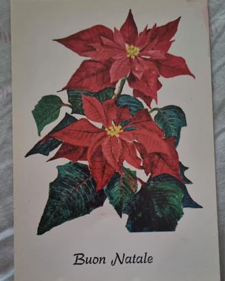 cartolina Buon Natale anno 1975 .Anja Numminem