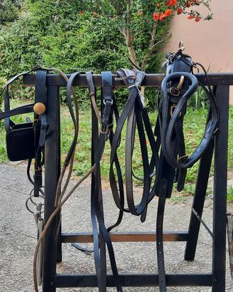 Finimenti per pony