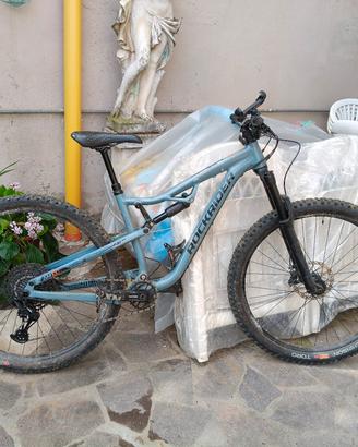 mountain bike rockrider  am100