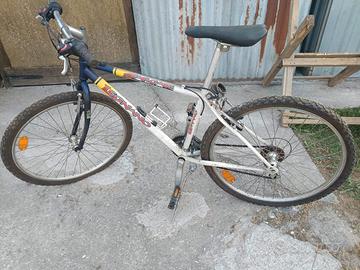 Mountain bike da uomo  