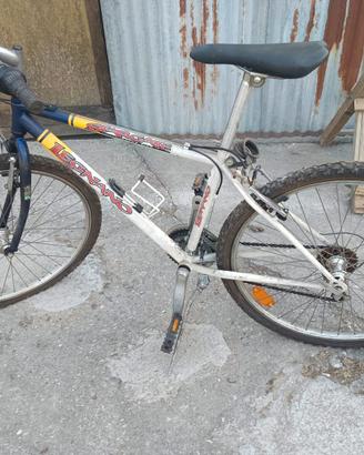 Mountain bike da uomo  