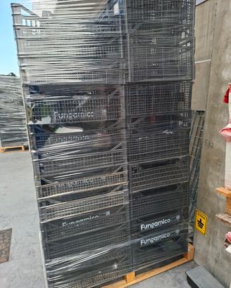Cassette legno plastica frutta verdura