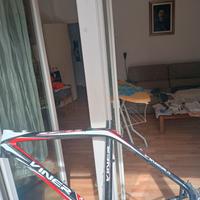 telaio Carbonio Viner 