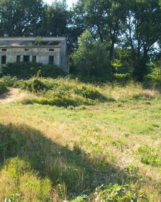 Rudere collabente con area verde