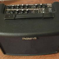 Roland AC-33 + dual footswitch Boss FS-6