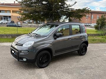 Fiat Panda 4x4 iva esposta