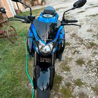 Suzuki gsx-s 750 yougen Carbon