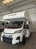 rimor-sarus-9