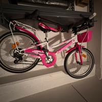 Bicicletta Lombardo 20''