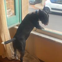 Disponibile per monte