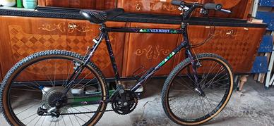 Bici mountain bike ragazzo uomo vermont