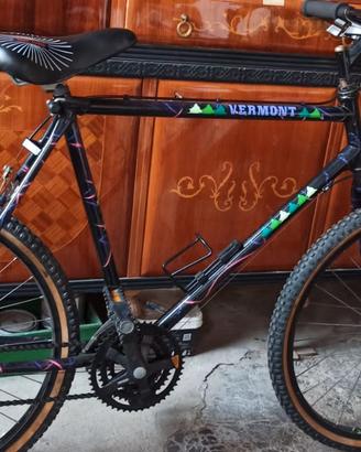 Bici mountain bike ragazzo uomo vermont