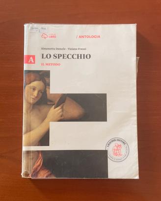 Lo specchio, Il metodo